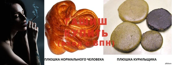 мет Коряжма