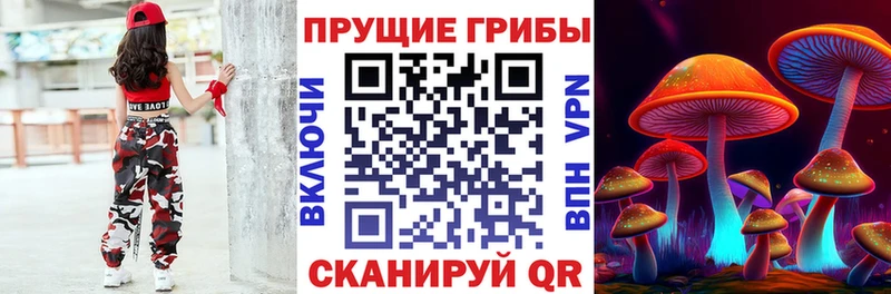 закладка  Буй  Псилоцибиновые грибы MAGIC MUSHROOMS 