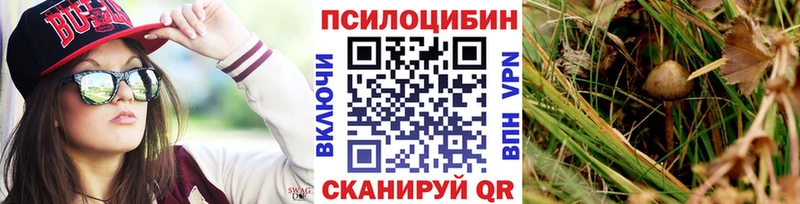 Псилоцибиновые грибы Cubensis Буй