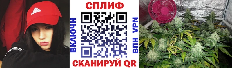 omg как зайти  Буй  Бошки марихуана ГИДРОПОН  купить наркоту 